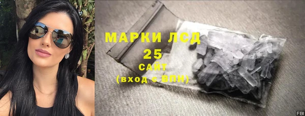 PSILOCYBIN Алзамай