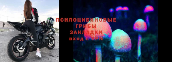 PSILOCYBIN Алзамай