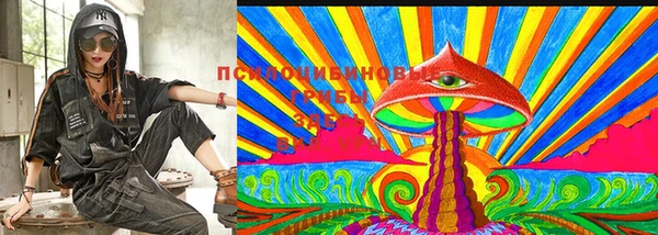 PSILOCYBIN Алзамай