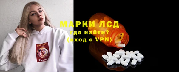 PSILOCYBIN Алзамай
