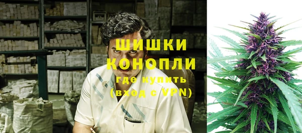 PSILOCYBIN Алзамай